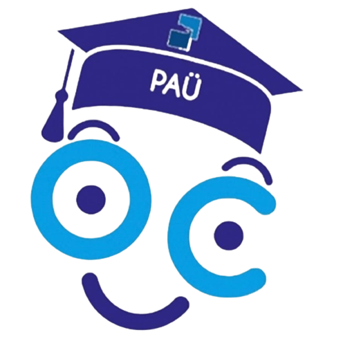 website logo