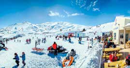 pamukkale denizli üniversite