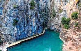 pamukkale denizli üniversite