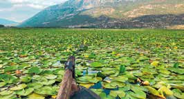 pamukkale denizli üniversite