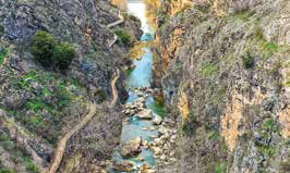 pamukkale denizli üniversite