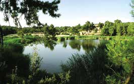 pamukkale denizli üniversite