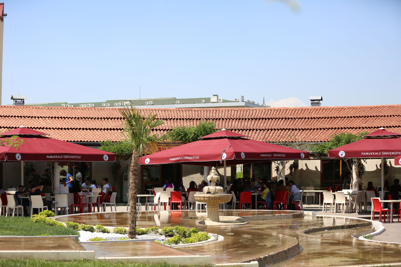 pamukkale-universitesi