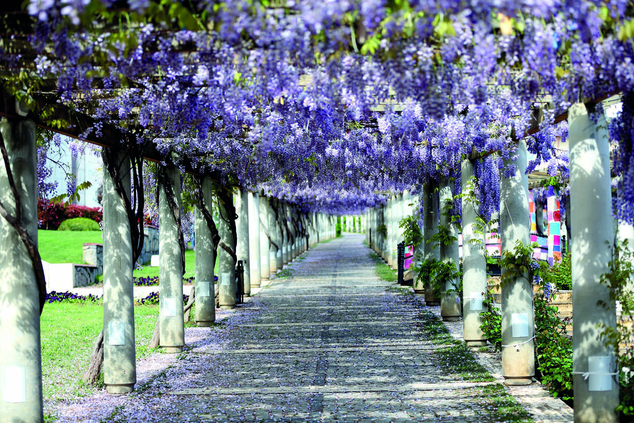pamukkale-universitesi