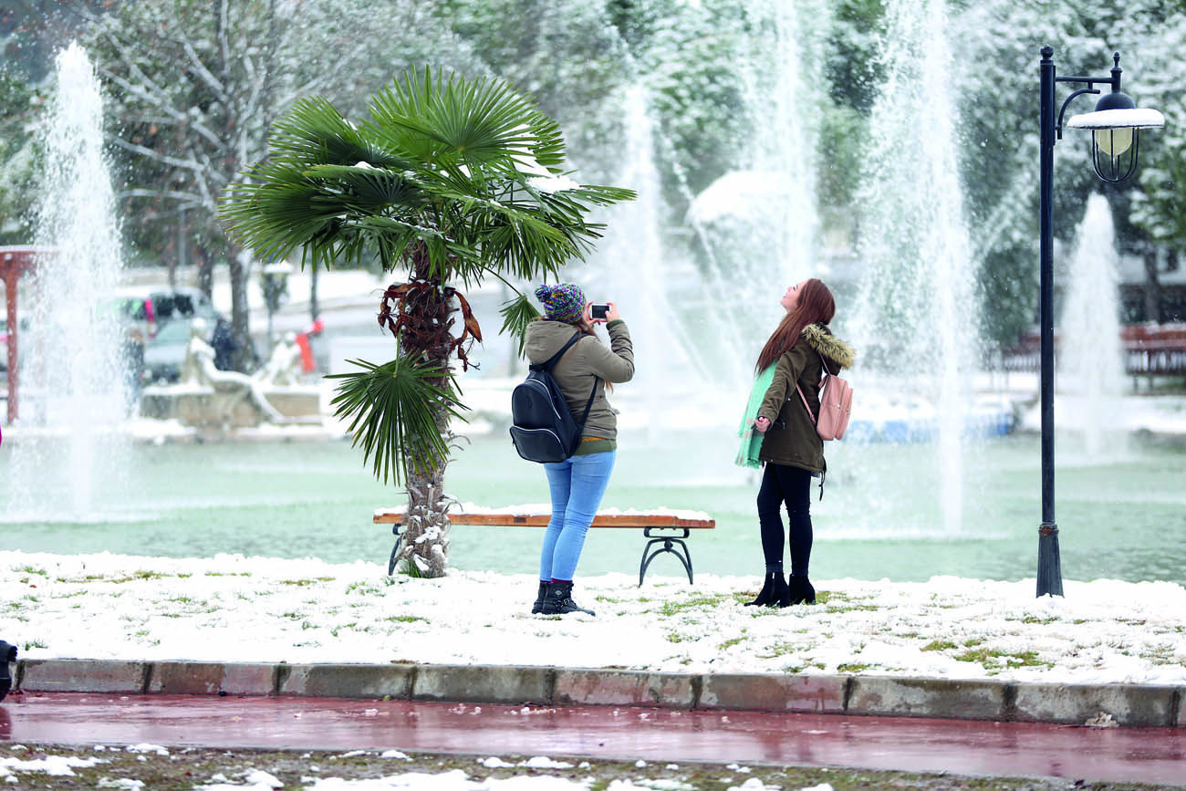 pamukkale-universitesi