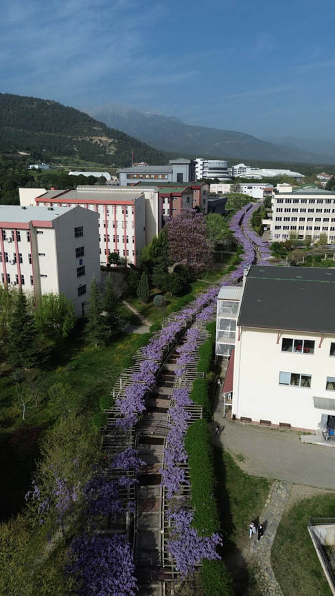 pamukkale-universitesi