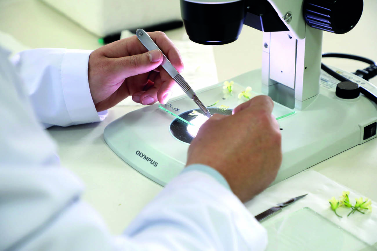 pamukkale-universitesi