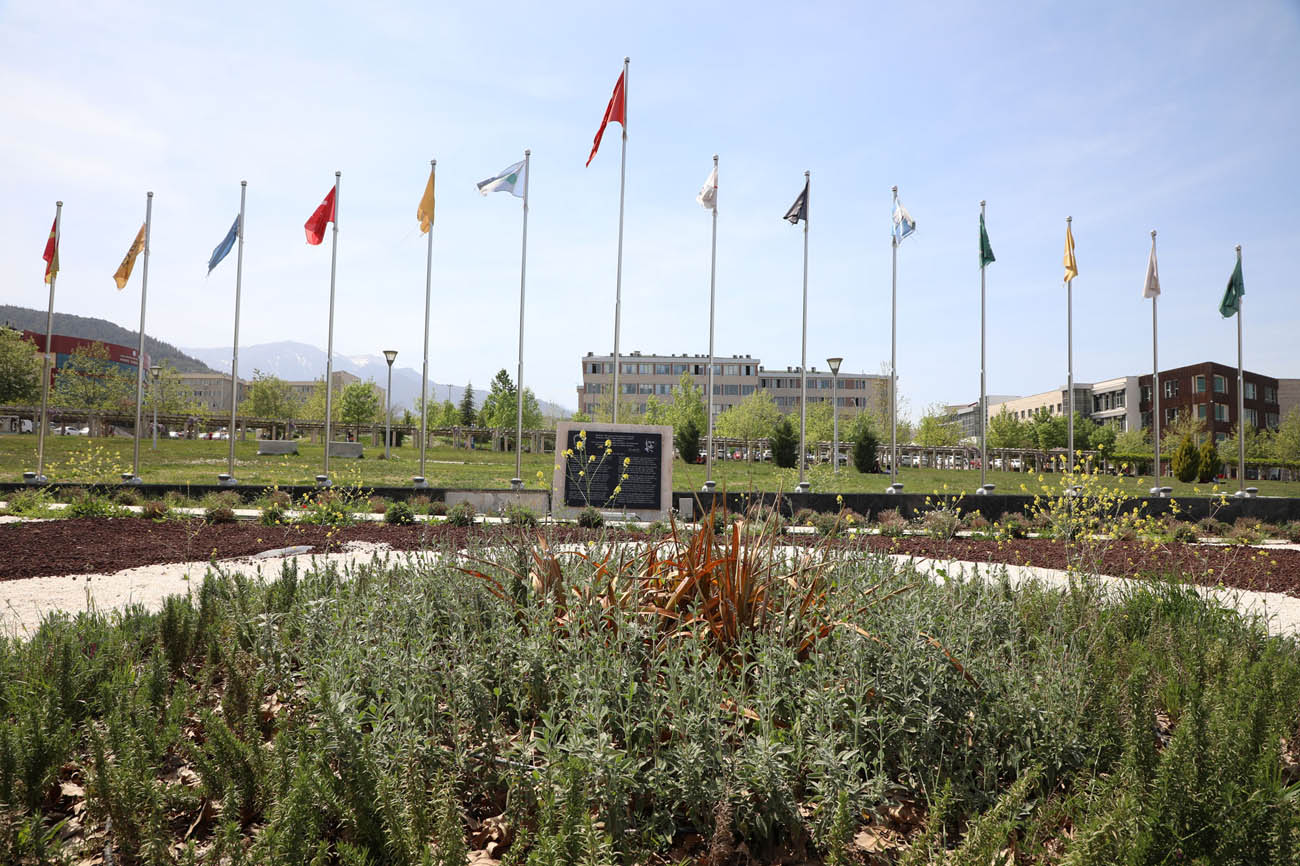 pamukkale-universitesi