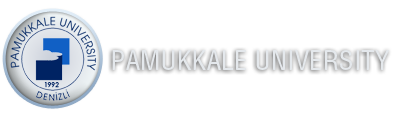 website logo