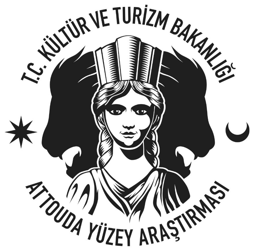 website logo