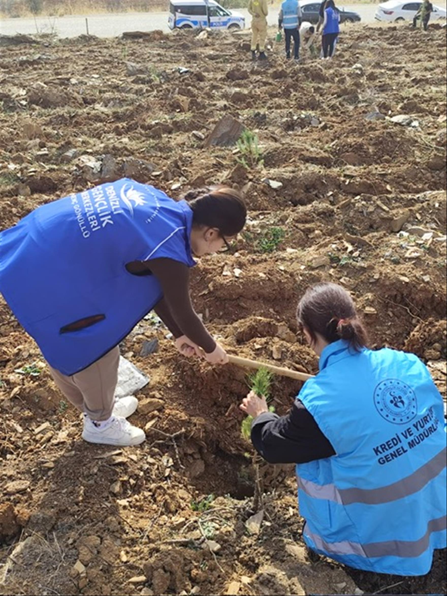 Tree Planting Event 3