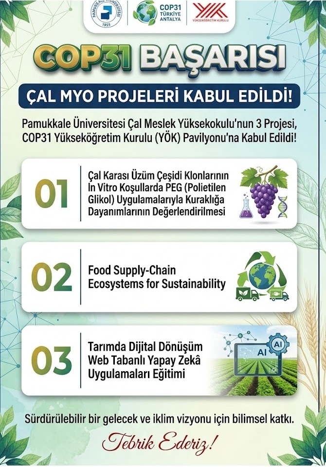 cal-myo’dan-cop31-yok-pavilyonu’na-buyuk-bilimsel-katki-akademisyenlerimizin-projeleri-kabul-edildi