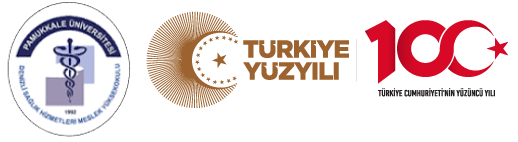 website logo