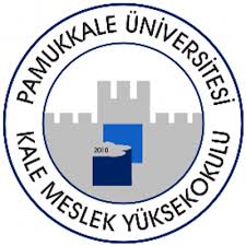 website logo