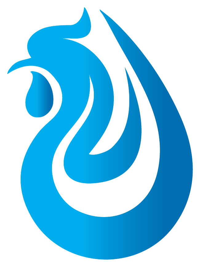 website logo