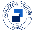 website logo