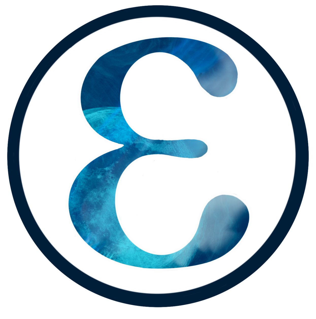 website logo