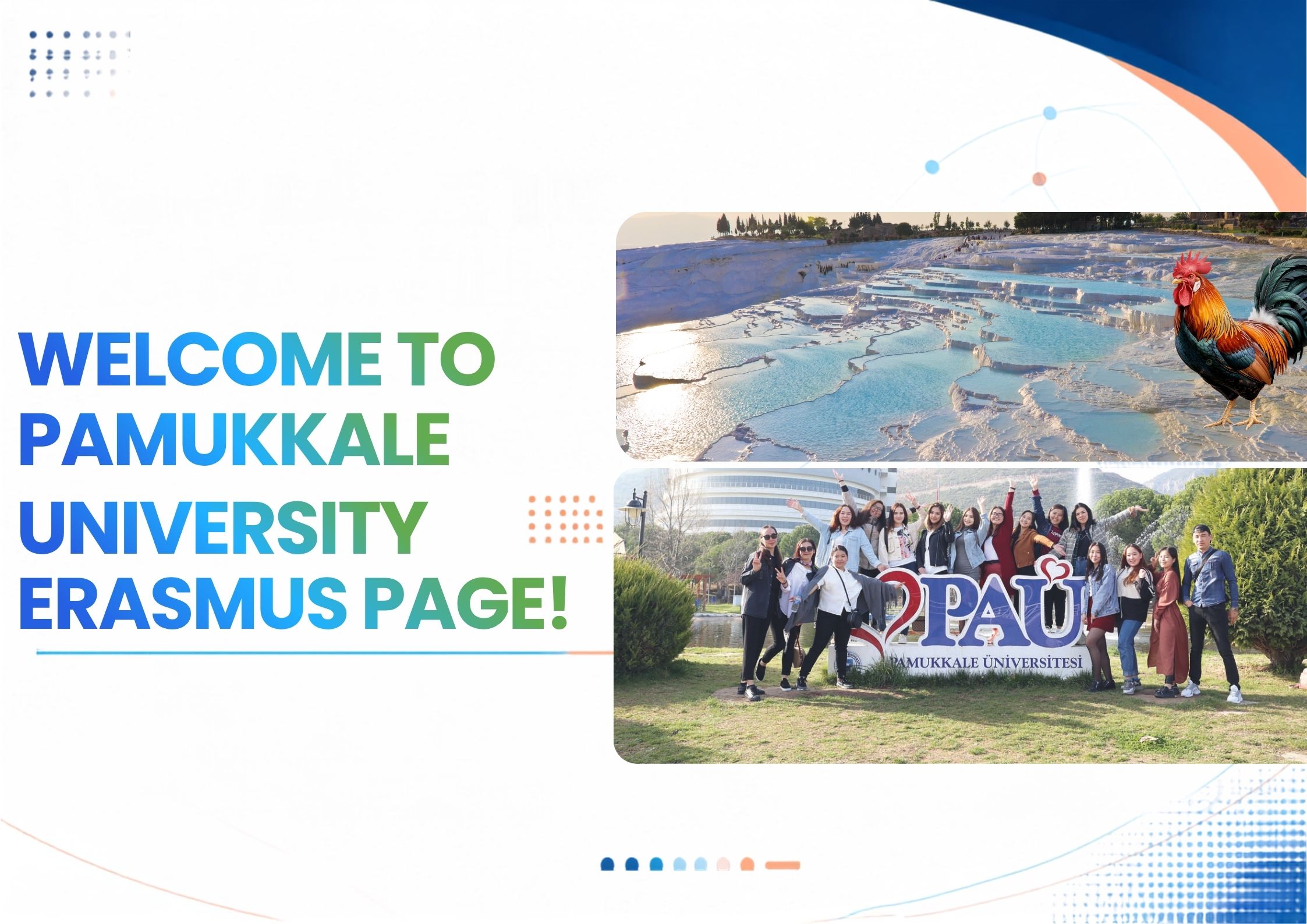 website-slider