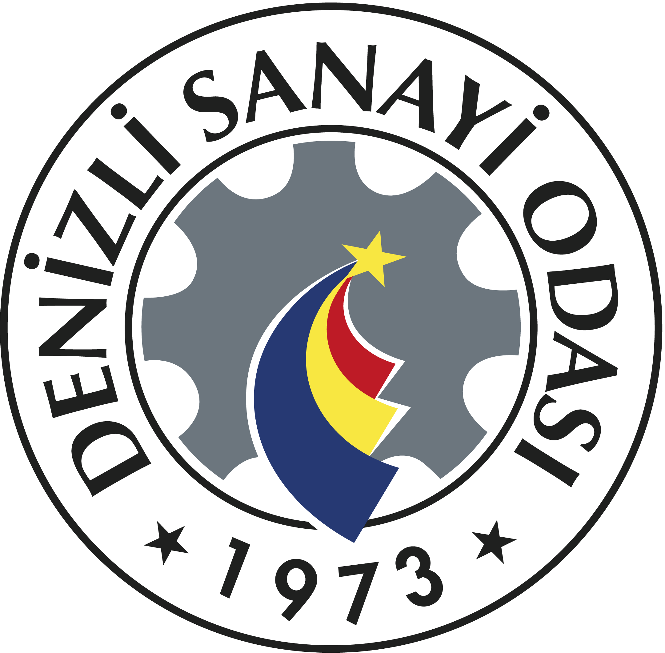DSO Logo