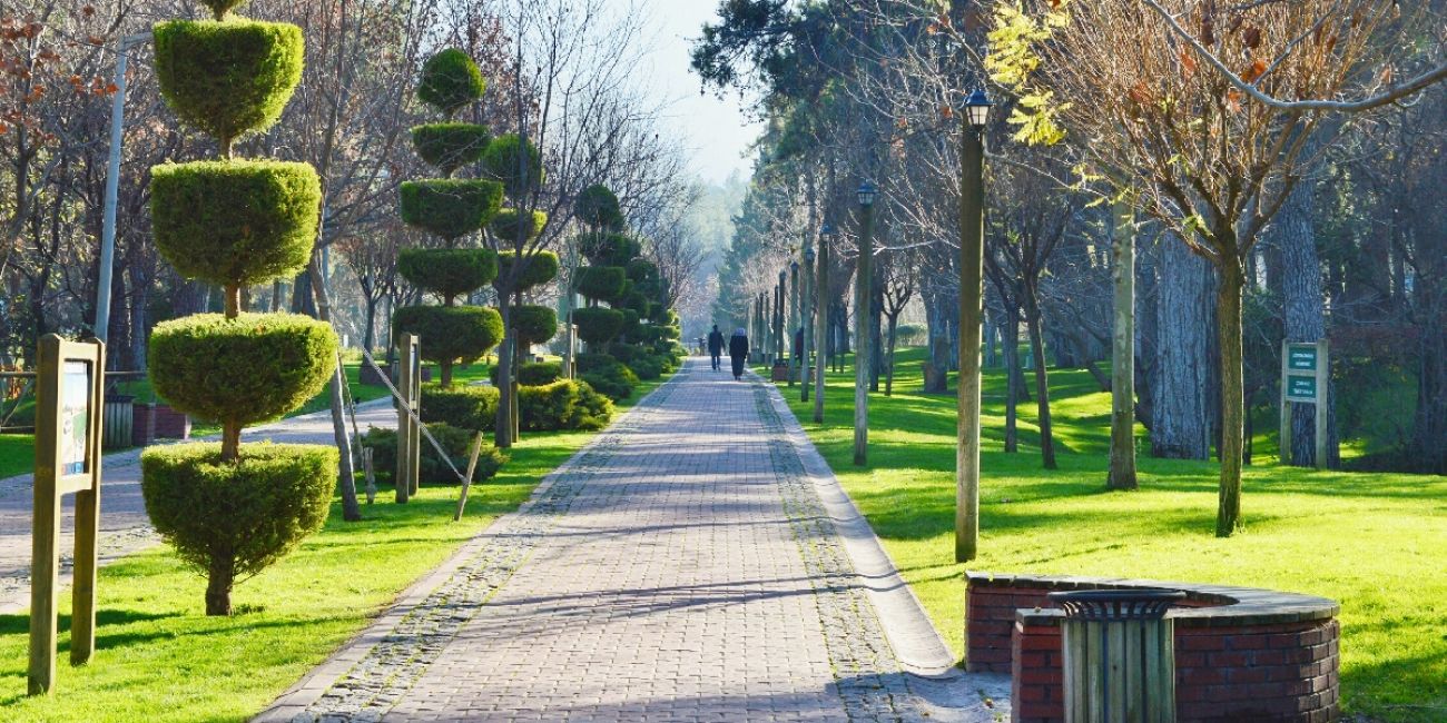 Çamlık Parkı
