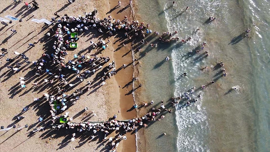 muglada-tedavileri-tamamlanan-deniz-kaplumbagalari-denizle-bulustu