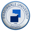 website logo