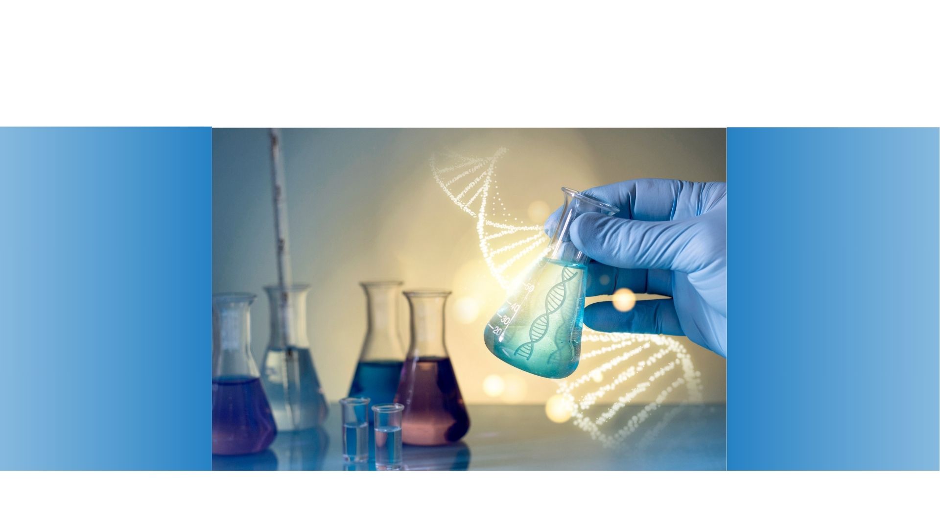 website-slider