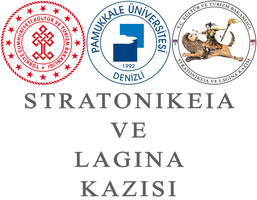 website logo