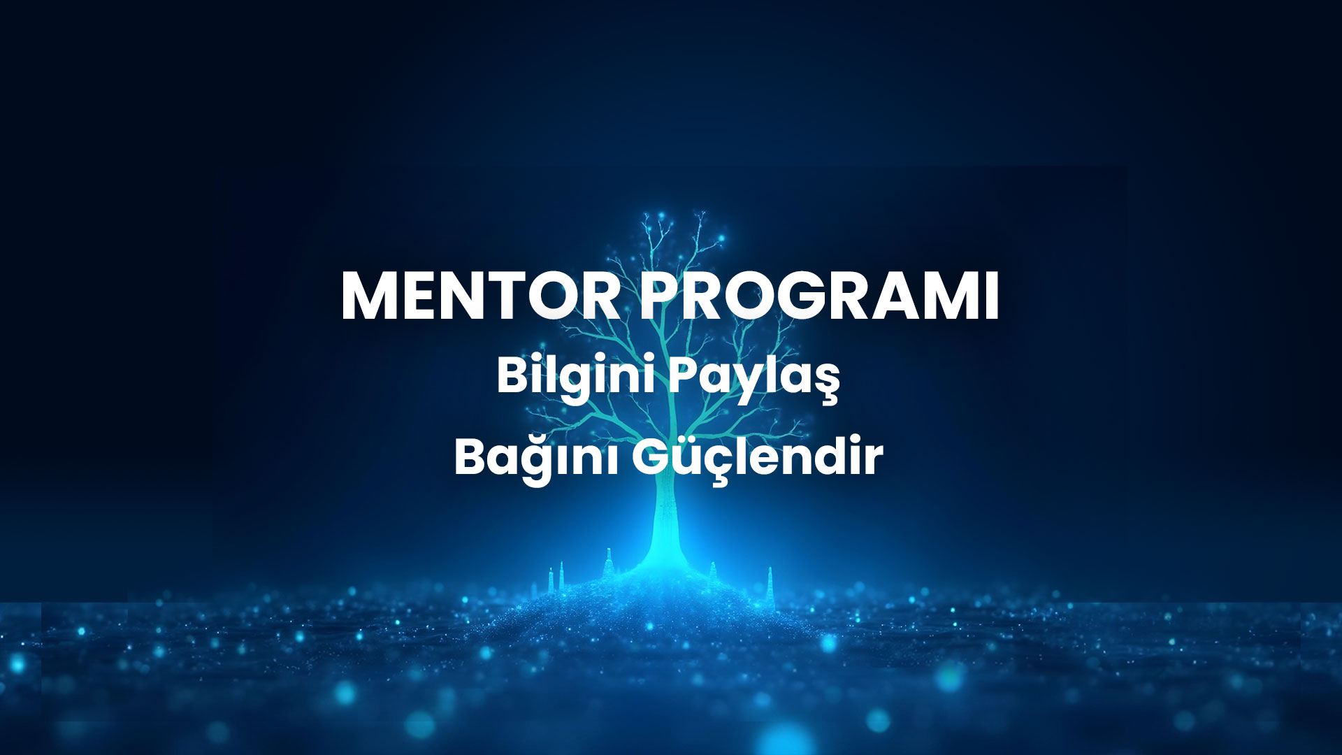 website-slider