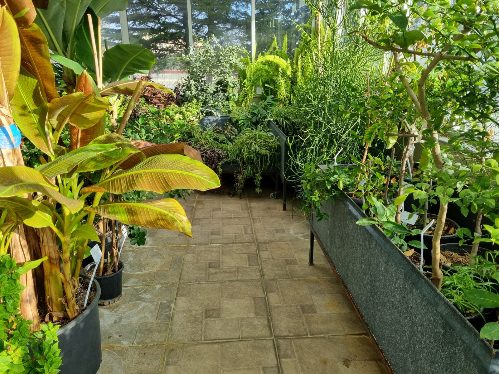 website-slider