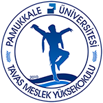 website logo