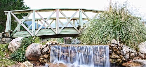 website-slider
