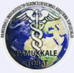 website logo
