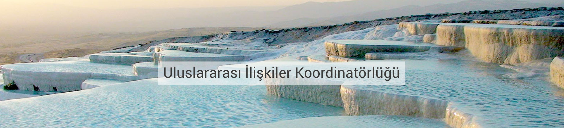 website-slider