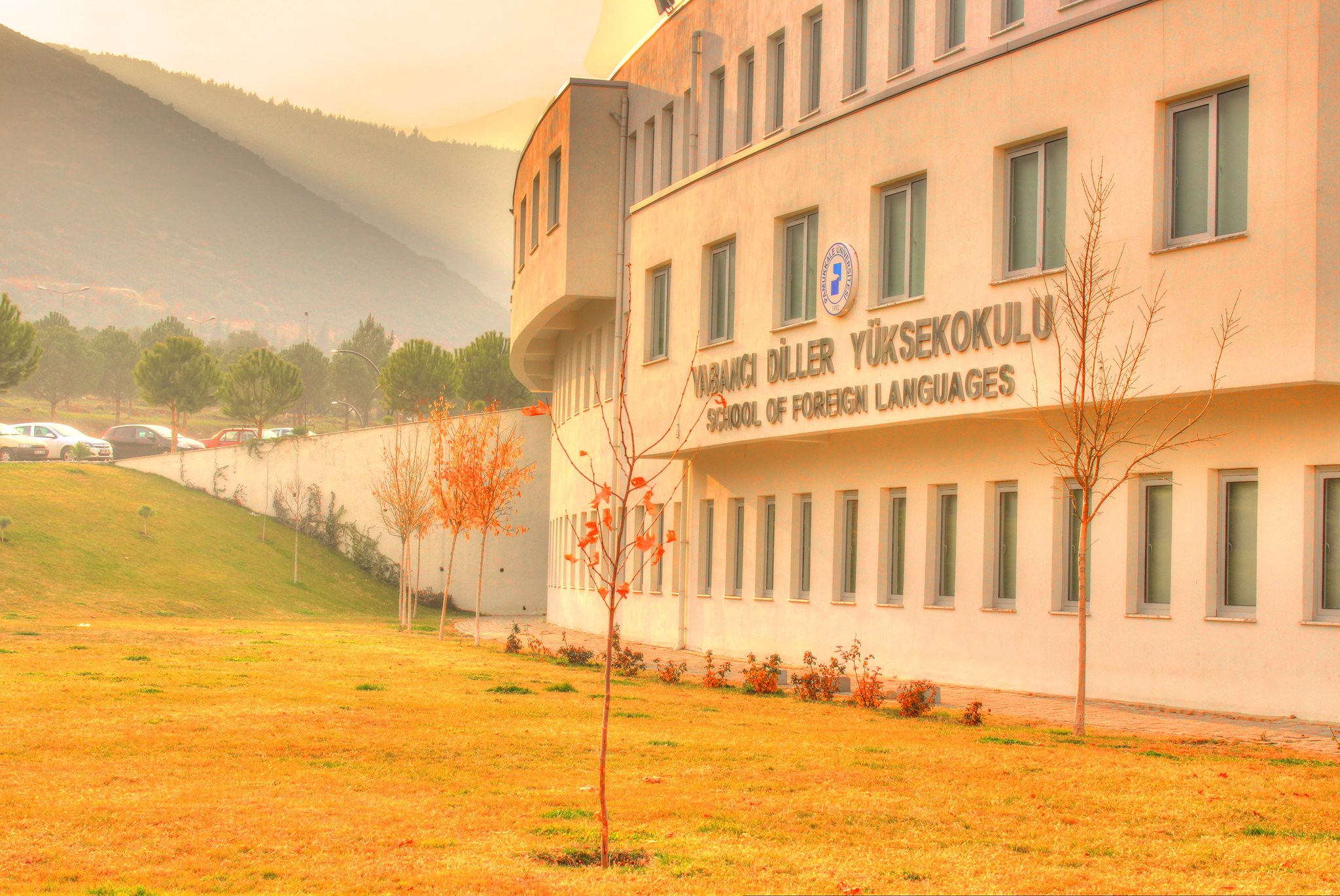 website-slider
