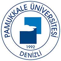 website logo